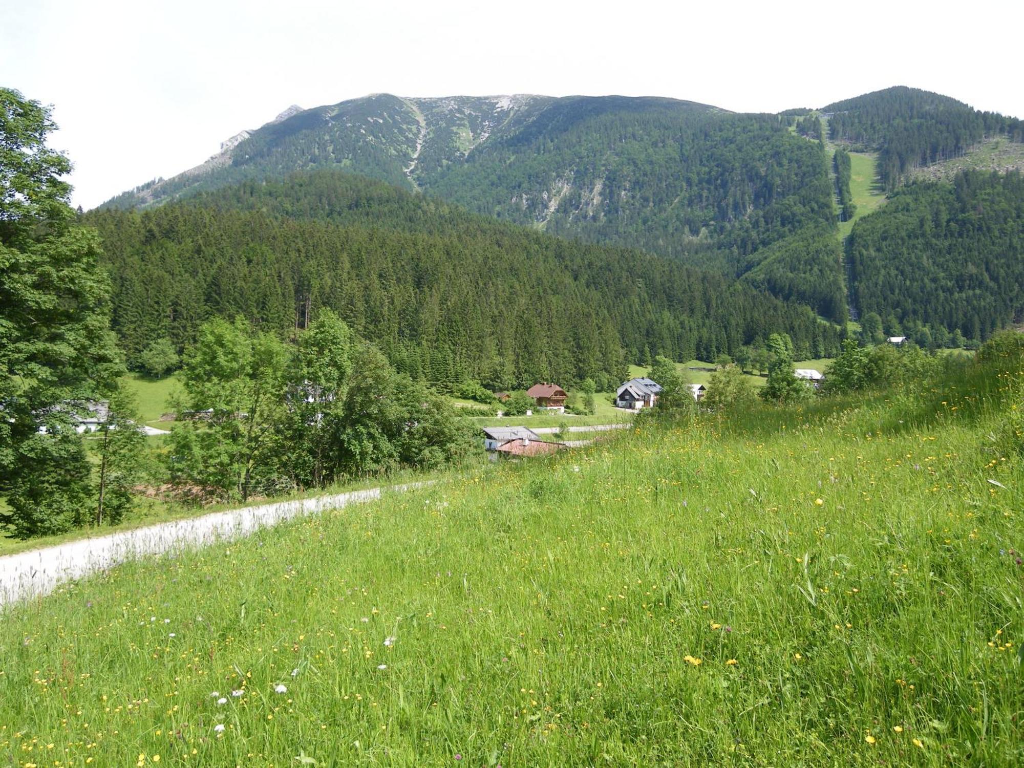 Familienappartement Oetscherbaer Lackenhof Dış mekan fotoğraf